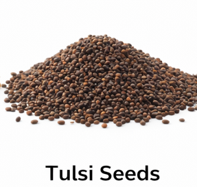 Tulsi Seeds